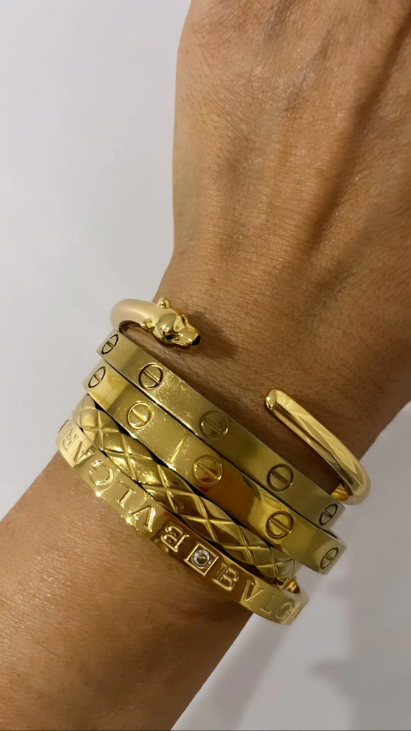 Le bracelet de la petite lionne